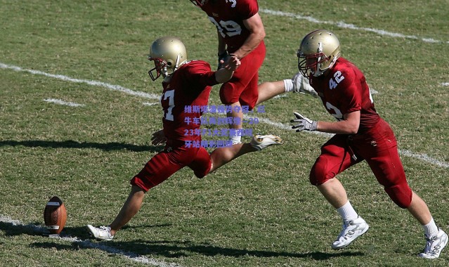 爱游戏官方入口-维斯塔潘强势夺冠，红牛车队再创辉煌—2023年F1大奖赛西班牙站精彩回顾