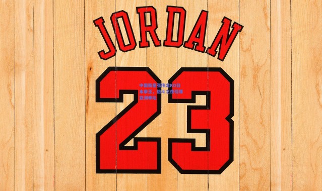 爱游戏官方入口_中国新星张伟龙KO日本拳王，格斗之夜引爆亚洲拳坛