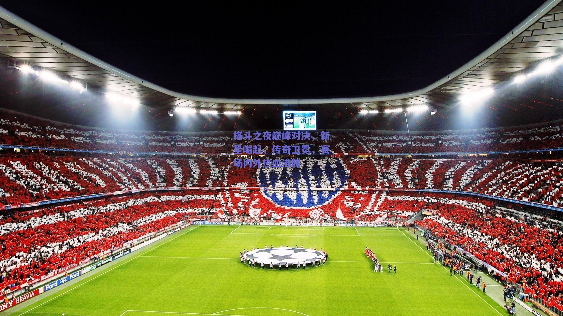 格斗之夜巅峰对决,新星崛起,传奇卫冕,赛场内外热血沸腾